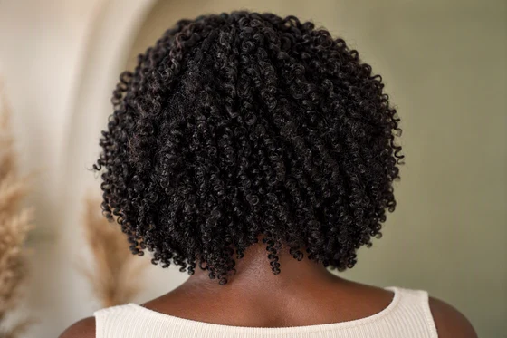 Defined dark coily curls air-dried into a rounded natural shape, photographed from behind
